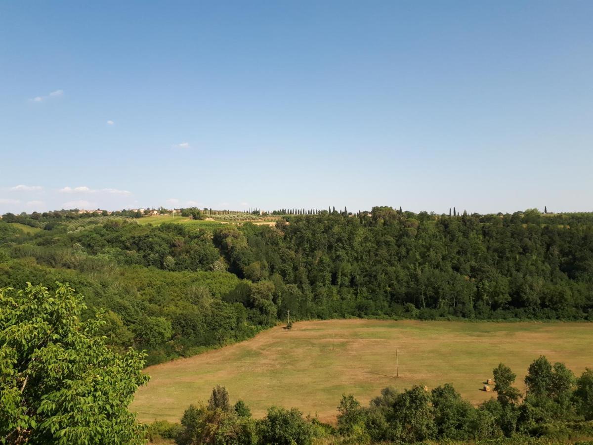 Podere Calcinaia Castelnuovo Berardenga Eksteriør billede