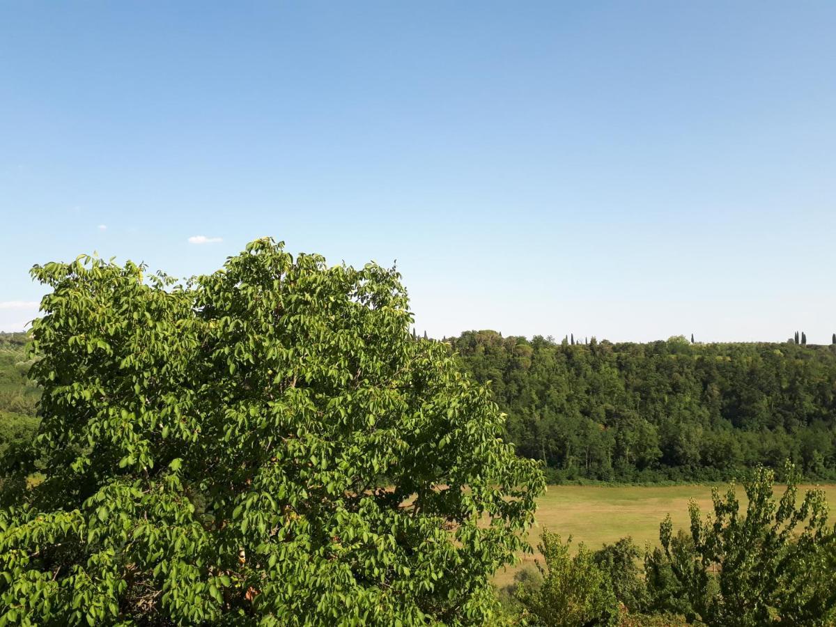Podere Calcinaia Castelnuovo Berardenga Eksteriør billede