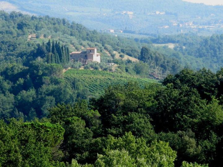 Podere Calcinaia Castelnuovo Berardenga Eksteriør billede