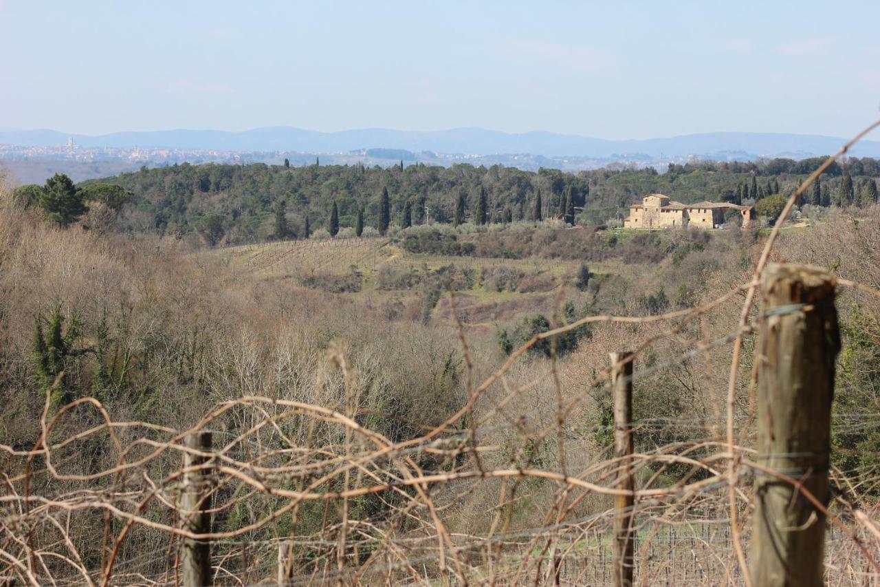Podere Calcinaia Castelnuovo Berardenga Eksteriør billede